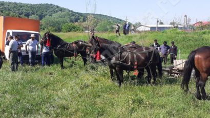 Doar crescătorii de animale din Bocşa au voie la Târgul Neuwerk-ului din oraş