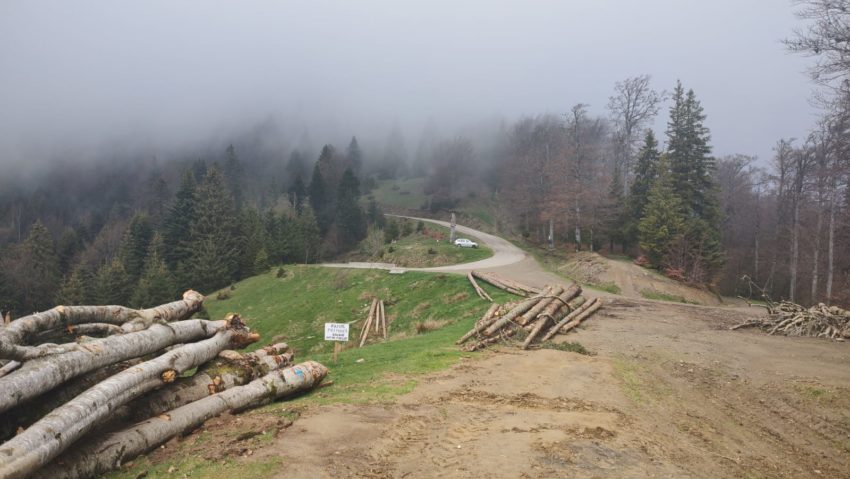 Protest pașnic pentru susținerea proiectului Nedeia