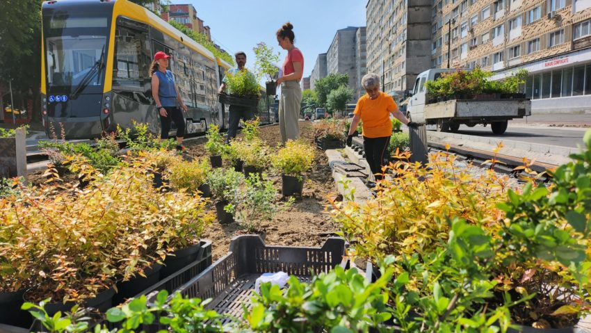 Ioan Popa: „Încercăm să avem o vegetație multicoloră”