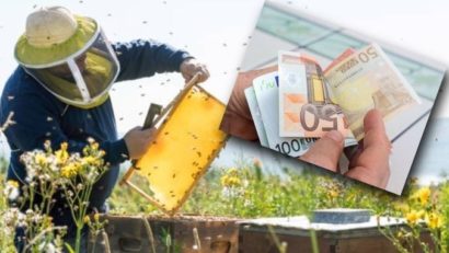 Fonduri de 70 de mii de euro pentru tinerii apicultori din Caraş-Severin