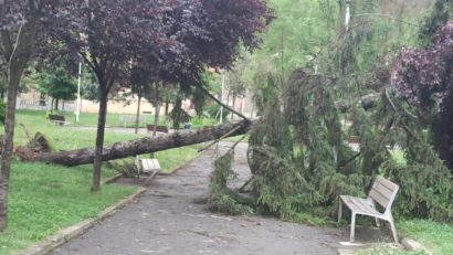 [FOTO-VIDEO]Două persoane rănite şi 175 de apeluri la 112 în urma furtunii din Caraş-Severin