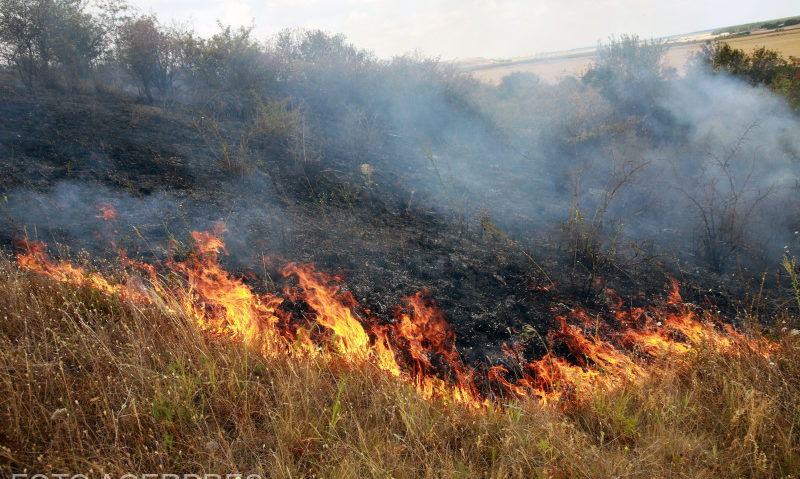 Încă 1.200 de persoane vor fi evacuate din trei localităţi de pe insula Rhodos