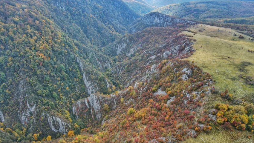 Rezervația Naturală Cheile Gârliștei – una dintre cele mai sălbatice din România