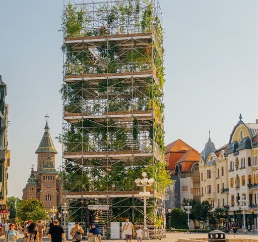 Pepiniera cu 1.306 plante din Piaţa Victoriei din Timişoara va fi demontată