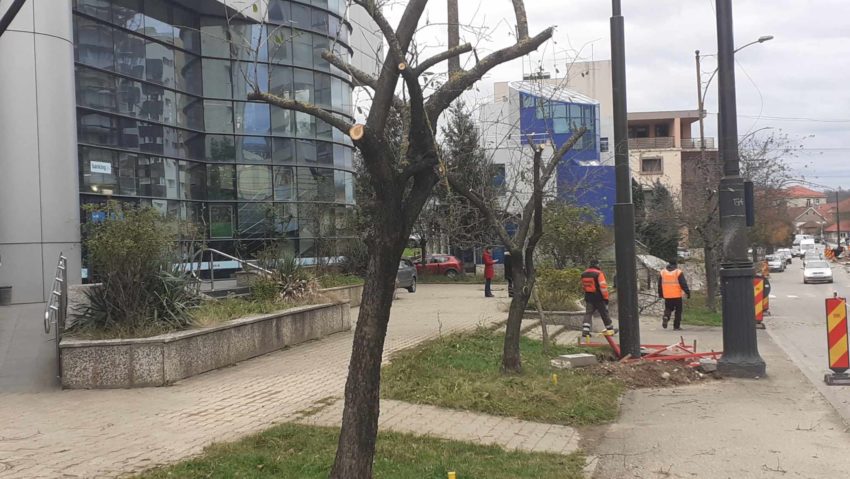 La Reşiţa, toamna se toaletează arborii şi arbuştii de pe domeniul public