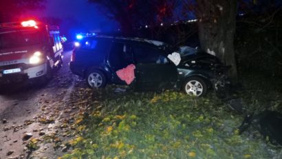 Accident mortal între Timișoara și Arad