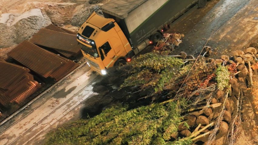 Reșița, un oraș mai verde: peste 200 de arbori vor fi plantați în cartierul Lunca Bârzavei