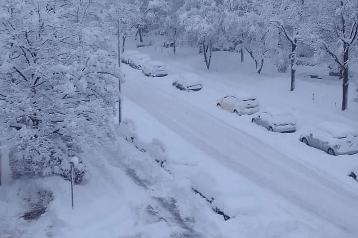 Ninsorile abundente creează probleme în Germania, în landul Bavaria