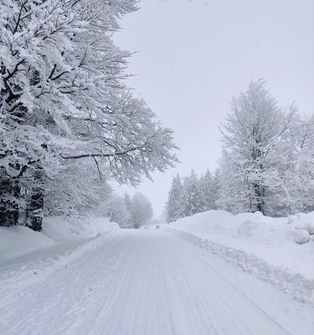 Drumurile spre staţiunile montane din Caraș-Severin, deschise circulaţiei