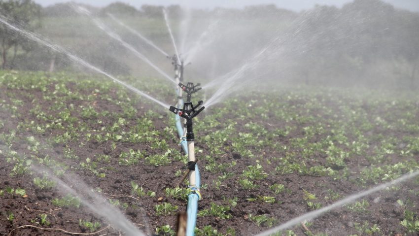 Fermierii români şi asociaţiile agricole pot obţine din acest an fonduri nerambursabile pentru înfiinţarea sistemelor de irigaţii