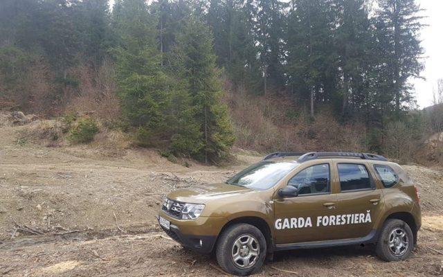 În Caraş-Severin Garda Forestieră a făcut peste 600 de controale în 2023