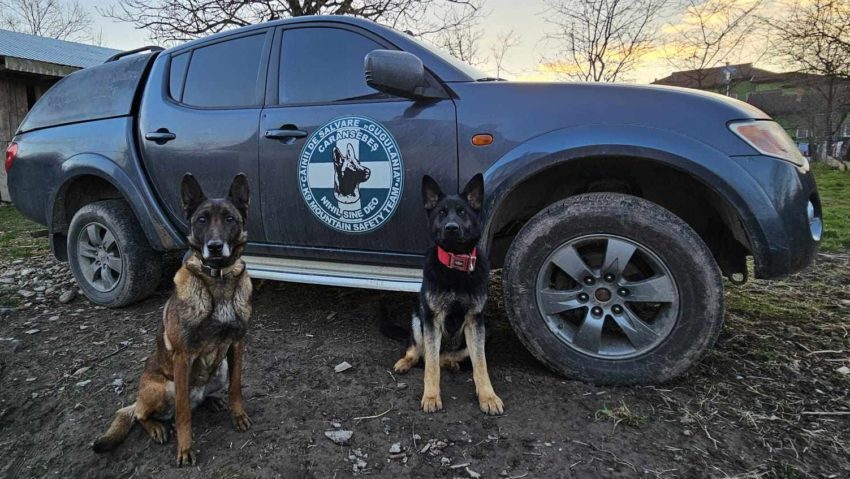 Familia canină, coordonată de salvatorul montan Cristian Carol Brecica se măreşte