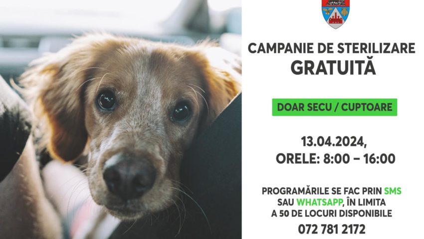 Campanie de sterilizare gratuită pentru câinii cu stăpâni din cartierele Secu şi Cuptoare în acest sfârşit de săptămână