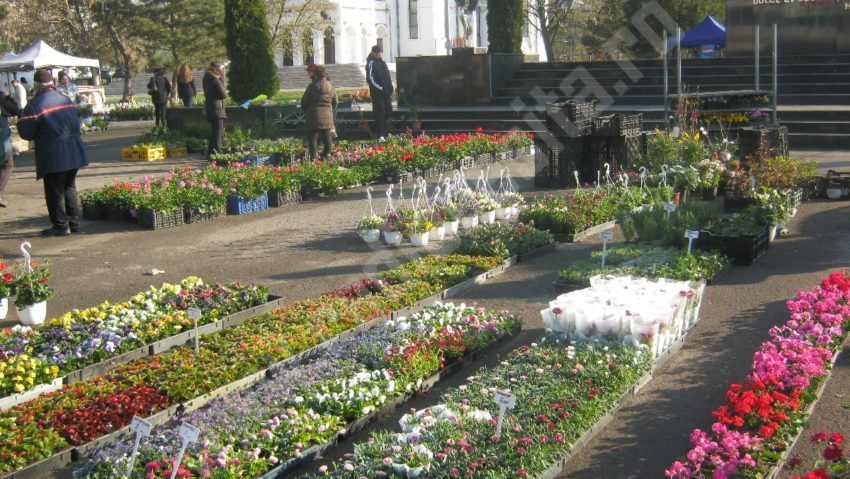 Târgul de Florii este deschis la Reșița