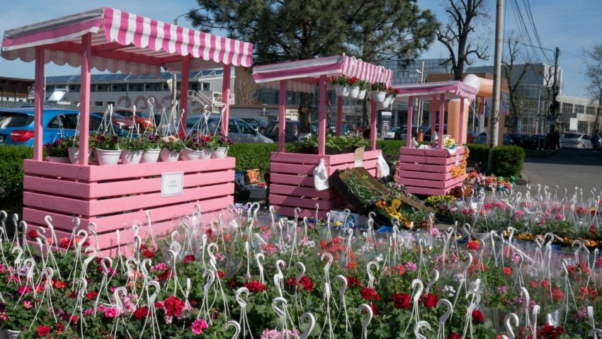 Târgul Florilor şi Festivalul Familiei la Consiliul Judeţean Arad