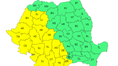 Cod galben de furtuni în Banat, Oltenia, Crişana, vestul Transilvaniei şi al Munteniei