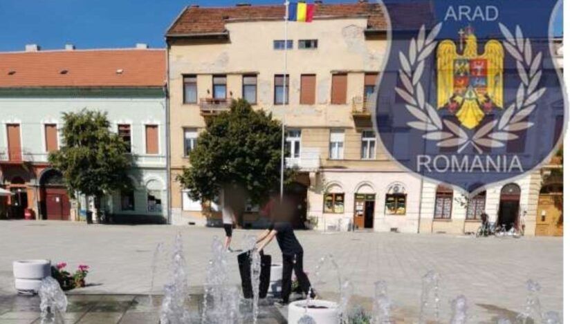 Femeie amendată pentru că şi-a spălat covoarele într-o arteziană din municipiul Arad