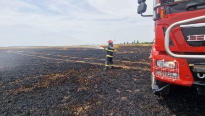 Lan de grâu, mistuit de flăcări în Gherteniș