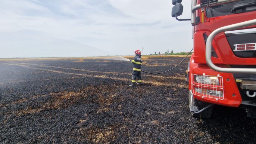 Lan de grâu, mistuit de flăcări în Gherteniș