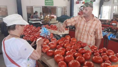 Cultura de tomate în solarii şi spaţii protejate, cu mult peste aşteptări în Caraş-Severin