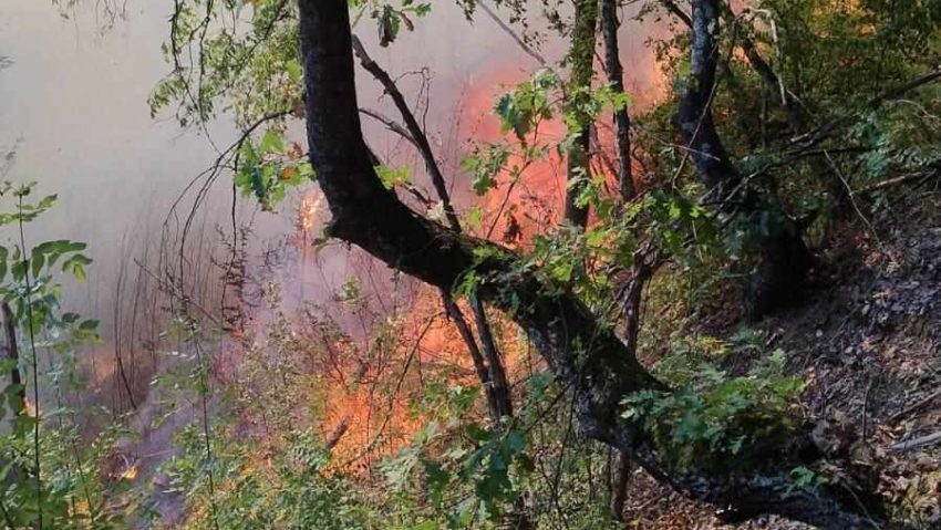 Opriți incendierea vegetației uscate! ISU Mehedinți intervine pentru localizarea și stingerea a 10 incendii