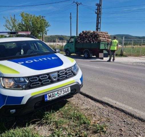 Caraş-Severin: Aproape 500 de metri cubi de lemn confiscaţi de poliţişti în prima parte a lunii august