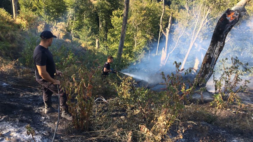 Incendiu de pădure în Parcul Natural ,,Porțile de Fier”