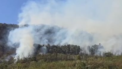 Incendiu de vegetație în Parcul Natural Porțile de Fier