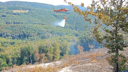 Pompierii din Mehedinţi au lichidat incendiul de lângă Sviniţa