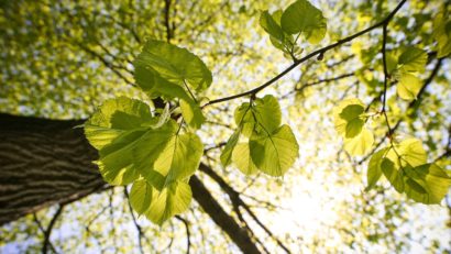 Temperaturi peste cele obişnuite şi în octombrie