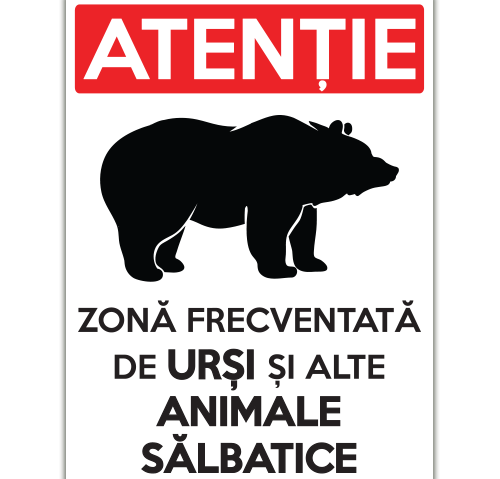 Atenţionare cu urs la poale de Semenic!