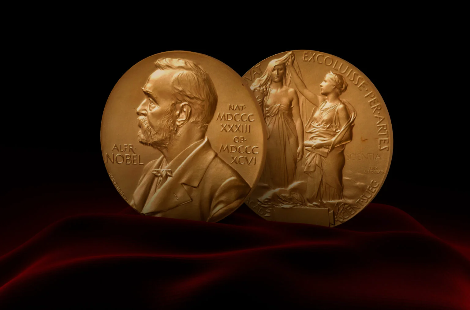 Nobel 2024: Descoperirea microARN-ului, recompensată cu premiul Nobel pentru Medicină