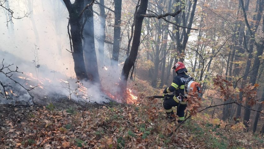 Un incendiu de vegetație și litieră de pădure a izbugnit pe raza localității Lăpușnicu Mare