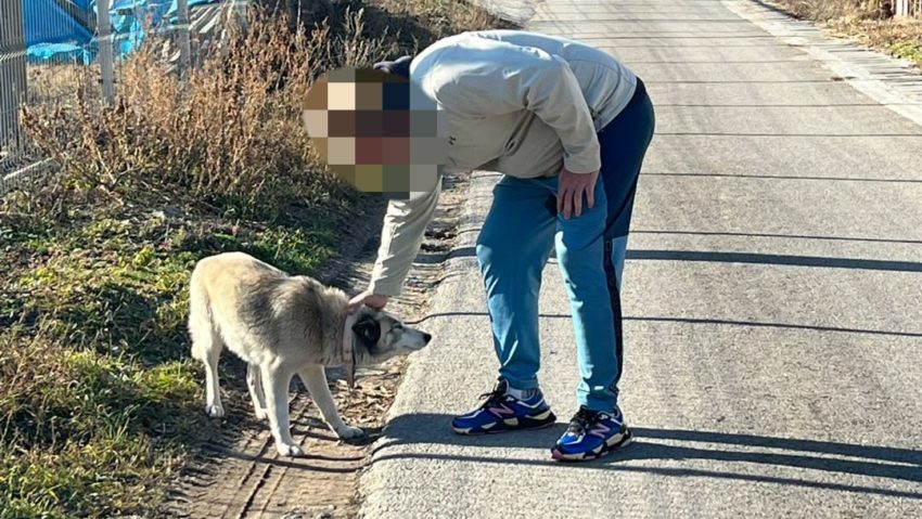 Câine salvat și adoptat de un om cu suflet mare, după ce a fost abandonat dintr-un autoturism