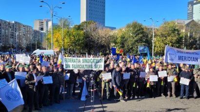 Silvicultorii vor protesta la Guvern, alături de ceferişti, militari în rezervă, poliţişti, mineri, siderurgişti, pensionari şi alte categorii profesionale