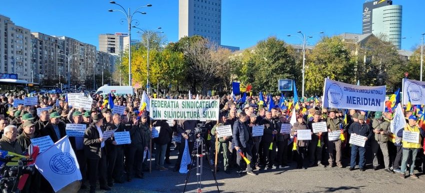 Silvicultorii vor protesta la Guvern, alături de ceferişti, militari în rezervă, poliţişti, mineri, siderurgişti, pensionari şi alte categorii profesionale