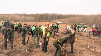 Romsilva plantează 19 milioane de puieți forestieri în campania de împăduriri de primăvară din întreaga ţară