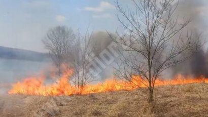 Incendiile de vegetație uscată mistuie pădurile din Caraș-Severin. Peste 770 de hectare sunt afectate