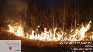 Peste 25 de incendii de vegetație în Caraș-Severin şi peste 350 de hectare afectate