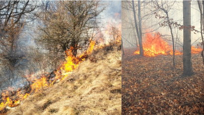 Incendiile de vegetaţie uscată distrug peste jumătate din pădurile din Caraş-Severin