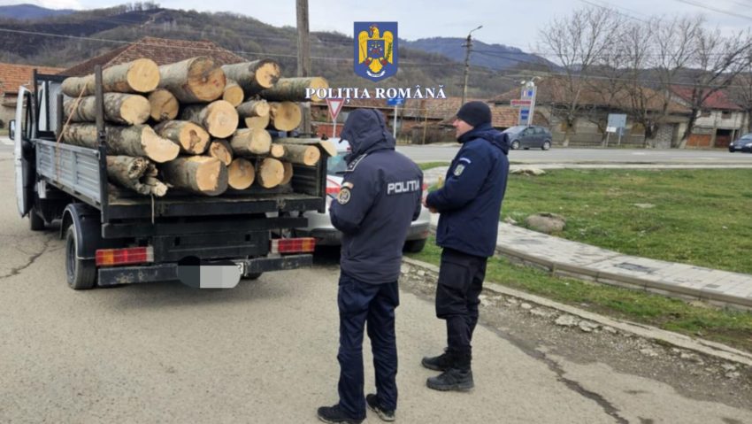 Acțiuni pentru combaterea ilegalităților silvice în Caraș-Severin: sancțiuni de 135.000 lei